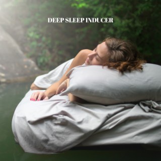 Deep Sleep Inducer: Calm Ambience, Healing Music to Sleep, Night Treatment