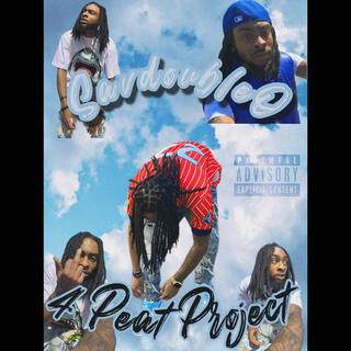 4 Peat Project