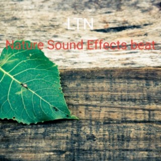 Nature Sound Effects beat