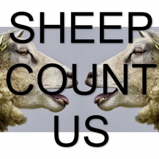 Sheep Count Us