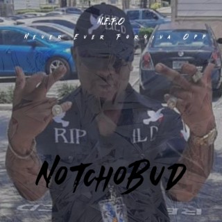 Notchobud