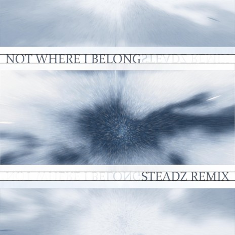 Not Where I Belong (SteadZ Remix) | Boomplay Music