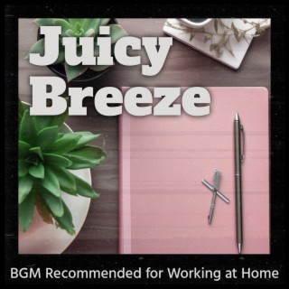 Bgm Recommended for Working at Home