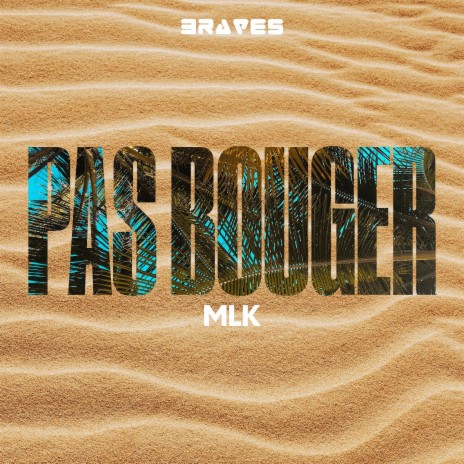 Pas Bouger | Boomplay Music