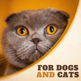 For Dogs and Cats