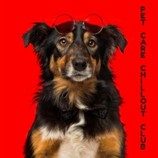 Pet Care Chillout Club