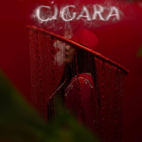 Cigara