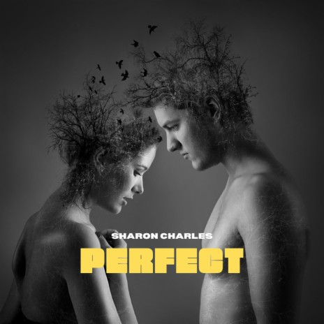 Perfect | Boomplay Music