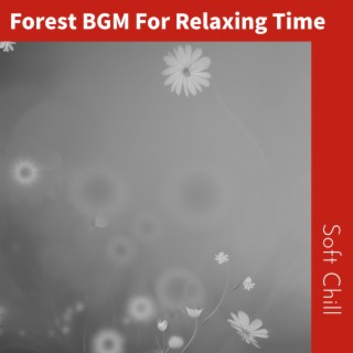 Forest BGM For Relaxing Time