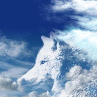 Cloudy Wolf