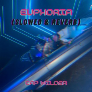 Euphoria (Slowed & Reverb)