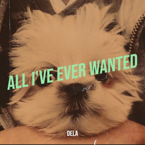 All I've Ever Wanted | Boomplay Music