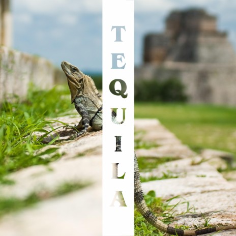 Tequila | Boomplay Music