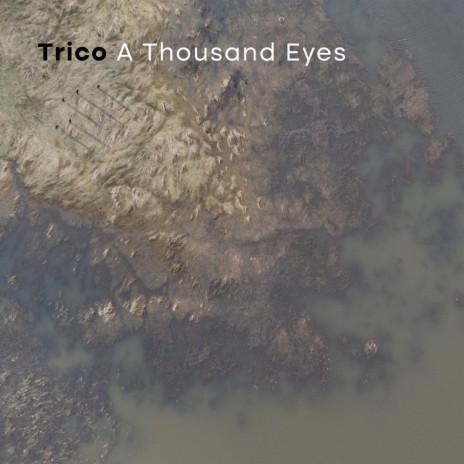 A Thousand Eyes