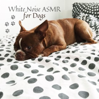 White Noise ASMR for Dogs