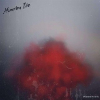 Momentary Bliss lyrics | Boomplay Music