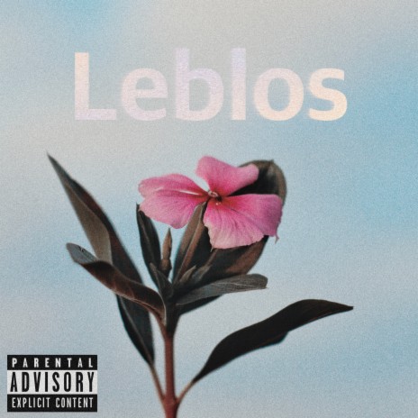 Leblos | Boomplay Music