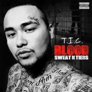 Blood Sweat N Tiers