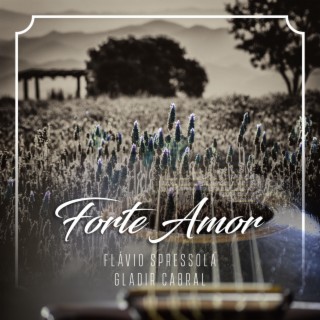 Forte Amor ft. Gladir Cabral lyrics | Boomplay Music