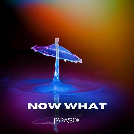 Now What | Boomplay Music