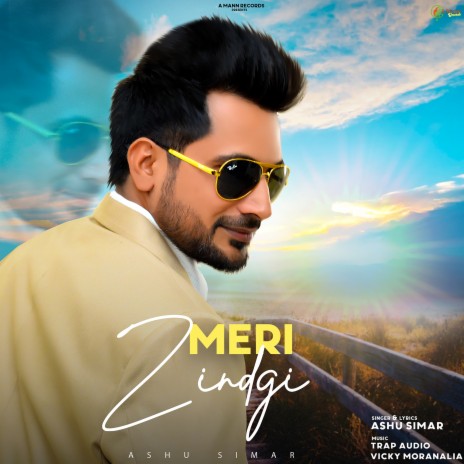 Meri Zindgi | Boomplay Music