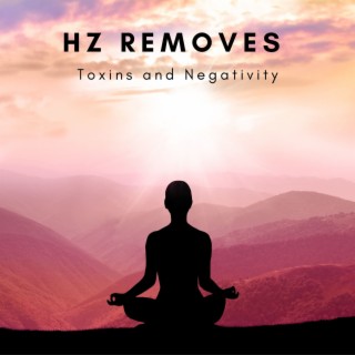 Hz Removes Toxins and Negativity: Cleanse Aura, Spiritual Awakening, Meditation Music