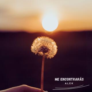 Me Encontrarás lyrics | Boomplay Music