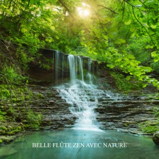 Belle flûte zen avec nature: Forêt, Oiseaux, Vagues de l'océan et pluie