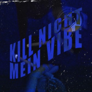 kill nicht mein vibe ft. VEAW lyrics | Boomplay Music
