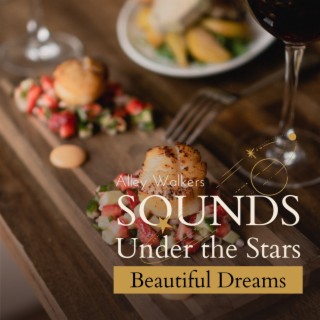 Sounds Under the Stars - Beautiful Dreams