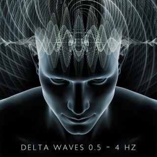 Delta Waves 0.5 - 4 Hz: Regeneration and Calming Down During Sleep