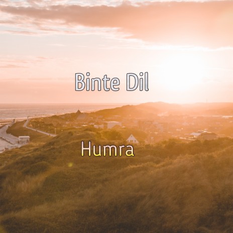 Binte Dil | Boomplay Music