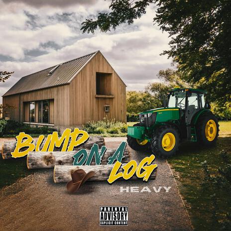 Bump On A Log | Boomplay Music