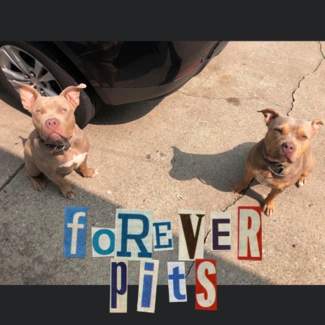 Forever Pits ft. 223 Gene | Boomplay Music