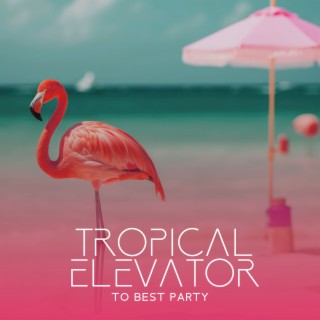 Tropical Elevator To Best Party