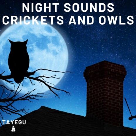 Night Sounds Crickets and Owls Summer Night Dog Barking 1 Hour Relaxing Nature Ambient Yoga Meditation Sounds For Sleeping Relaxation or Studying | Boomplay Music