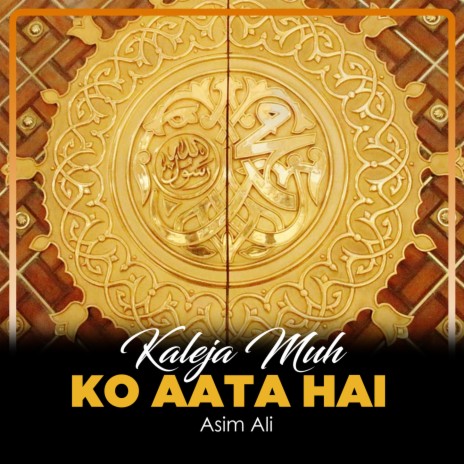 Kaleja Muh Ko Aata Hai | Boomplay Music