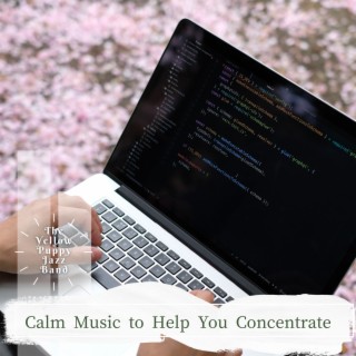 Calm Music to Help You Concentrate