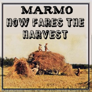 How Fares The Harvest