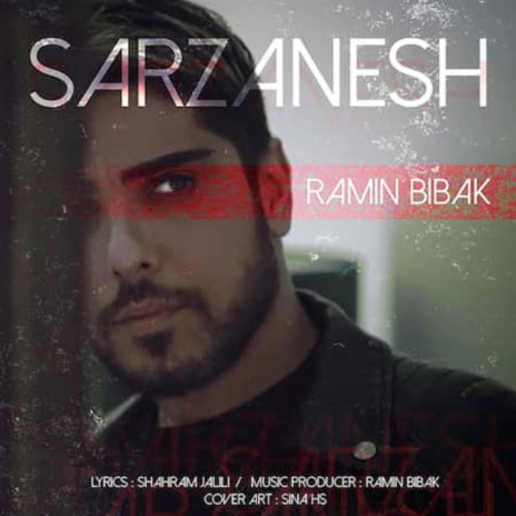 Sarzanesh | Boomplay Music