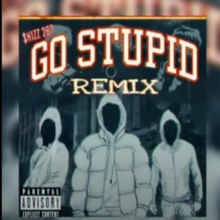Go Stupid (Remix)