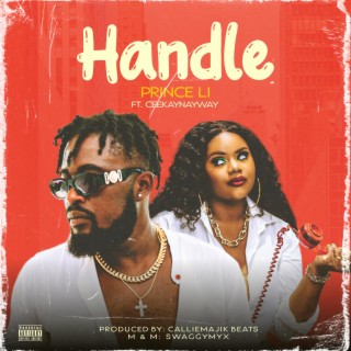 Handle ft. Ceekaynayway lyrics | Boomplay Music