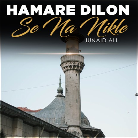 Hamare Dilon Se Na Nikle | Boomplay Music