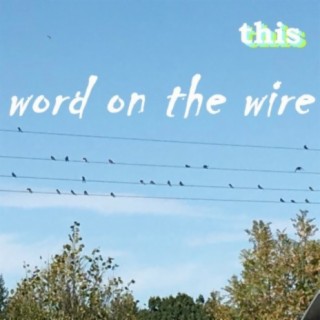 Word on the Wire