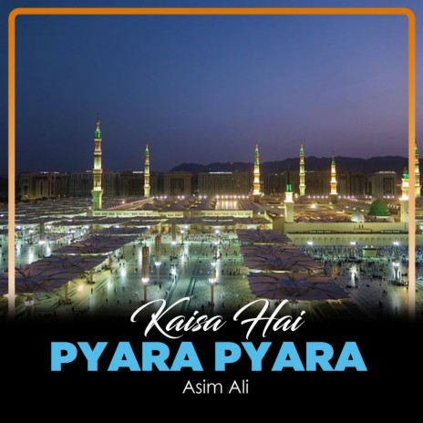 Kaisa Hai Pyara Pyara | Boomplay Music