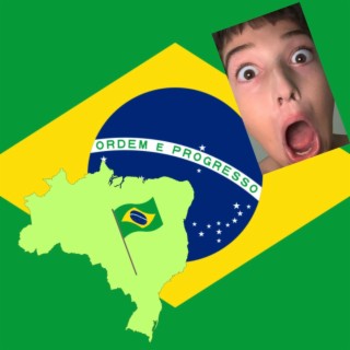 Brasil e seu 27 estados