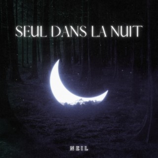 Seul dans la nuit lyrics | Boomplay Music