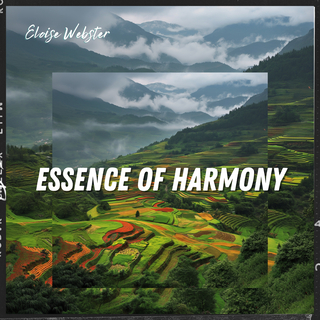 Essence of Harmony