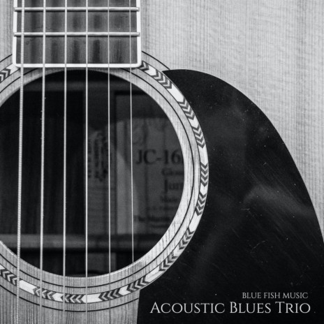 Acoustic Blues Trio | Boomplay Music