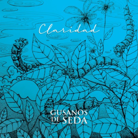 Claridad ft. Anahí Rayen Mariluan, Barbarita Palacios & Javier Casalla | Boomplay Music